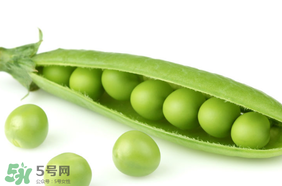 生豌豆有毒嗎？豌豆生吃有毒嗎？