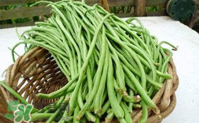 缸豆是豆角嗎？缸豆和豆角有什么區(qū)別