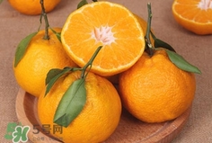 丑八怪是橙子嗎？丑八怪是不是橙子