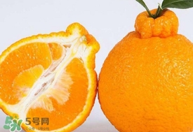 丑八怪水果多少錢一斤？不知火雜柑一斤多少錢