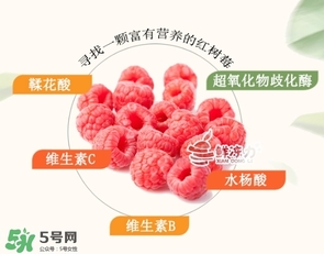 樹(shù)莓可以生吃嗎？樹(shù)莓怎么吃？