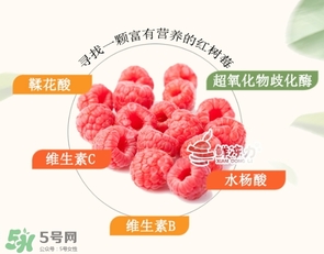 樹(shù)莓怎么保存？樹(shù)莓保存方法