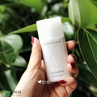 蘇菲娜白蕾絲多少錢(qián)？蘇菲娜白蕾絲日本價(jià)格