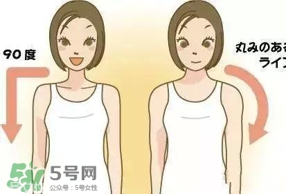 天鵝臂是什么？天鵝臂有用嗎