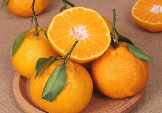 丑八怪是橙子嗎？丑八怪是不是橙子