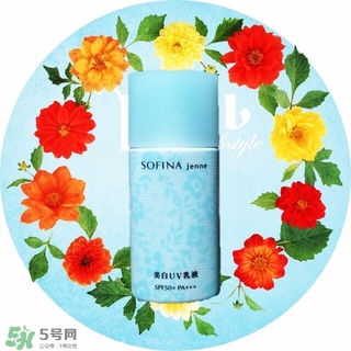 蘇菲娜藍(lán)蕾絲和藍(lán)小花哪個(gè)好？蘇菲娜藍(lán)蕾絲和藍(lán)小花對(duì)比