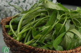 夏天種什么蔬菜？夏天適合種什么蔬菜