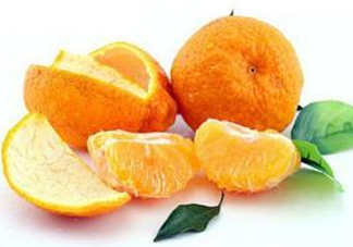 丑八怪水果多少錢一斤？不知火雜柑一斤多少錢