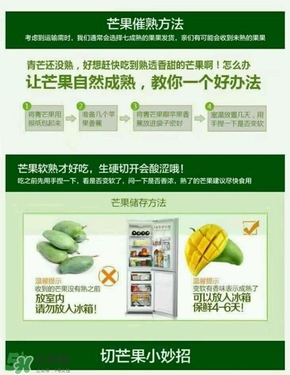 貴妃芒果硬的能吃嗎？貴妃芒果青的能吃嗎