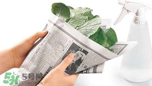 夏天蔬菜怎么保鮮？夏天蔬菜如何保鮮