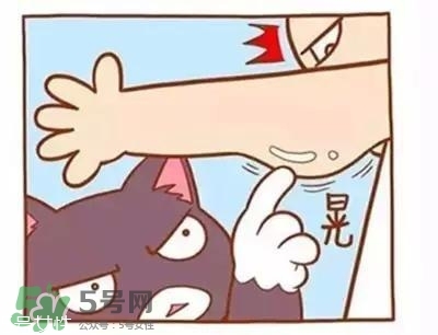 天鵝臂是什么？天鵝臂有用嗎