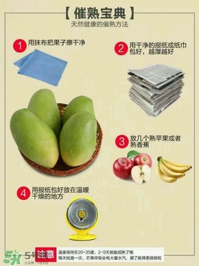 貴妃芒果硬的能吃嗎？貴妃芒果青的能吃嗎