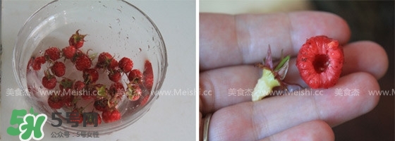 樹莓可以生吃嗎？樹莓怎么吃？