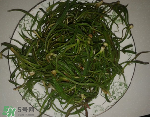 陽溝菜孕婦可以吃嗎？孕婦能吃陽溝菜嗎？