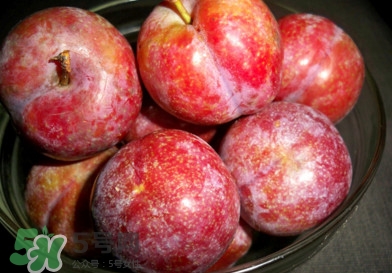 三華李孕婦可以吃嗎？三華李孕婦能吃嗎