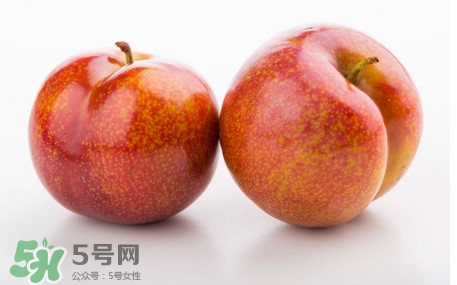 三華李孕婦可以吃嗎？三華李孕婦能吃嗎