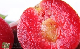 三華李是哪里的特產(chǎn)？三華李的產(chǎn)地是哪兒