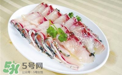生魚是什么魚？生魚片是什么魚
