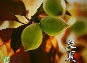 立夏吃什么水果？立夏吃什么水果好？