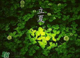 立夏吃什么水果？立夏吃什么水果好？