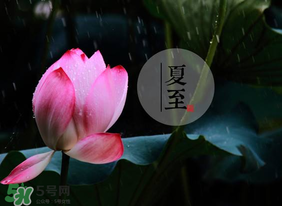 立夏和夏至有什么區(qū)別？立夏和夏至的區(qū)別