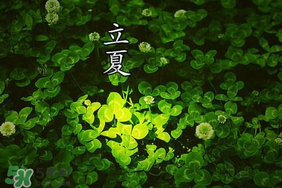 立夏和夏至有什么區(qū)別？立夏和夏至的區(qū)別