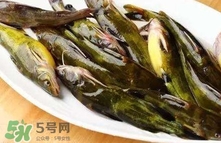 黃辣丁怎么殺？黃辣丁怎么處理