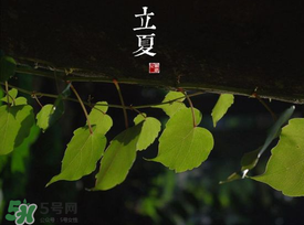 2017年立夏會(huì)下雨嗎？2017年立夏下雨好嗎？