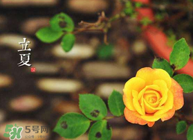 2017年立夏會(huì)下雨嗎？2017年立夏下雨好嗎？