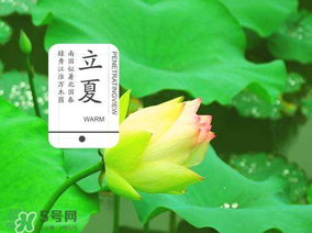 2017年立夏會(huì)下雨嗎？2017年立夏下雨好嗎？