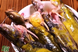 嘎魚孕婦能吃嗎？孕婦可以吃嘎魚嗎