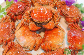 五月份有大閘蟹嗎？五月份的大閘蟹能吃嗎？