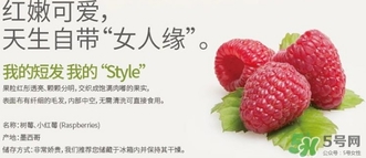 樹(shù)莓可以放冰箱嗎？樹(shù)莓可以保存幾天