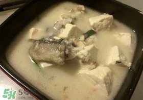 黑魚能和豆腐一起吃嗎？豆腐可以和黑魚一起吃嗎