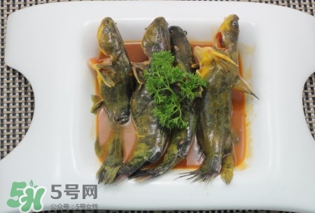 嘎魚不適合什么人吃？黃顙魚不適合什么人吃