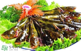 黃辣丁多少錢一斤？野生黃辣丁多少錢一斤