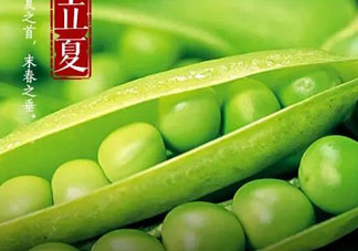 立夏吃什么好？立夏吃什么蔬菜？