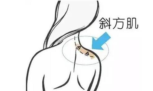 天鵝頸是什么樣的？天鵝頸怎么練？