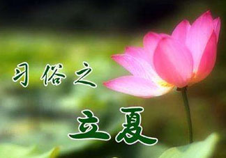 立夏和夏至有什么區(qū)別？立夏和夏至的區(qū)別