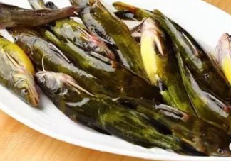 黃辣丁怎么殺？黃辣丁怎么處理