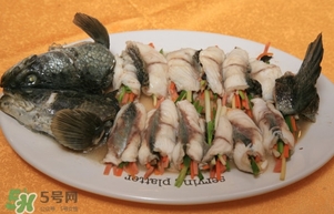 生魚是什么魚？生魚片是什么魚