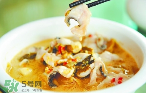 黑魚怎么做湯好喝？黑魚怎么做下奶？