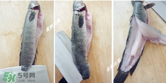 黑魚(yú)怎么切片？黑魚(yú)如何切魚(yú)片