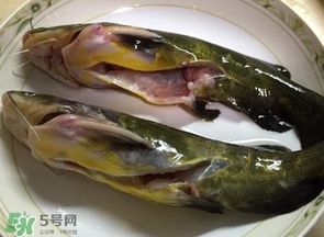 黃辣丁怎么殺？黃辣丁怎么處理