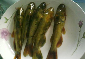 嘎魚是海魚嗎？嘎魚是什么魚