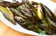 嘎魚是海魚嗎？嘎魚是什么魚