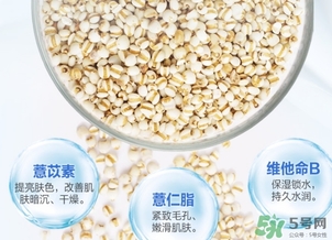 薏仁水可以天天敷嗎？薏仁水幾天敷一次？