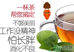 脂流茶成分 脂流茶可以減肥嗎？