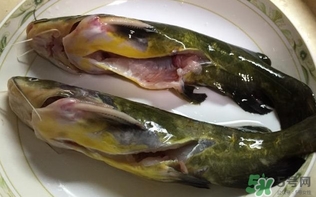 黃辣丁一斤多少錢(qián)？黃辣丁價(jià)格