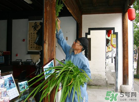 端午節(jié)門上掛的那個(gè)草叫什么？端午節(jié)掛門上的叫什么？